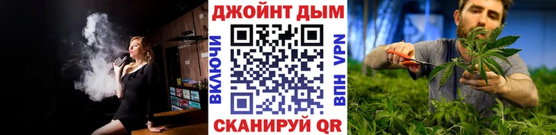 Купить  Кировск  Конопля план 